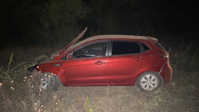 Дикий кабан стал причиной ДТП на трассе Бузулук-Бугуруслан