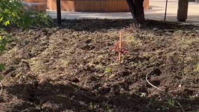 В центре Бузулука перекопали весь газон 