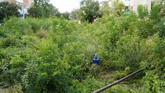 В Бузулуке расчистят русло Суходола 