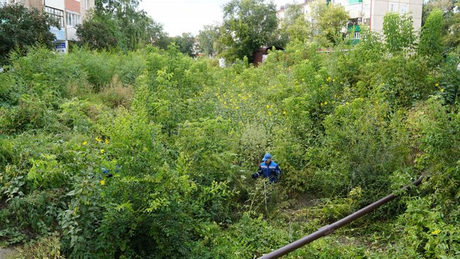 В Бузулуке расчистят русло Суходола 