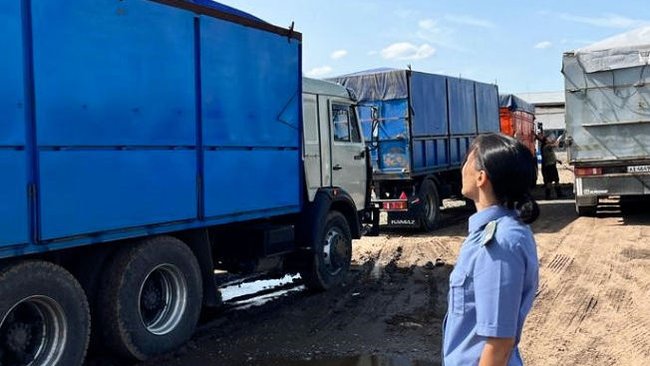 Из Оренбуржья уже вывезли на экспорт в три раза больше зерна, чем годом ранее 