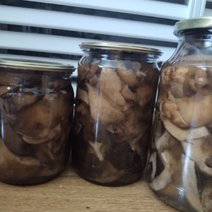 В Бузулуке еще два человека отравились грибами 