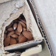 Откуда миндаль? В Оренбуржье пресекли ввоз 20 тонн санкционной продукции