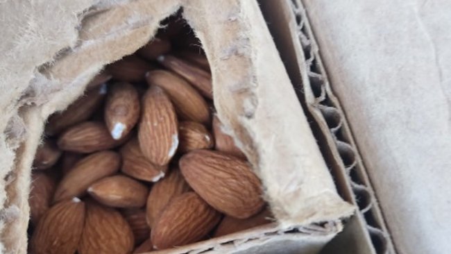 Откуда миндаль? В Оренбуржье пресекли ввоз 20 тонн санкционной продукции