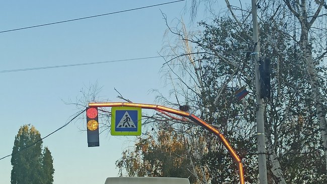 Опасные сухие ветки, грозящие упасть вниз, пугают жителей Бузулука