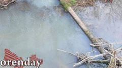 Найден источник загрязнения реки в Бугуруслане