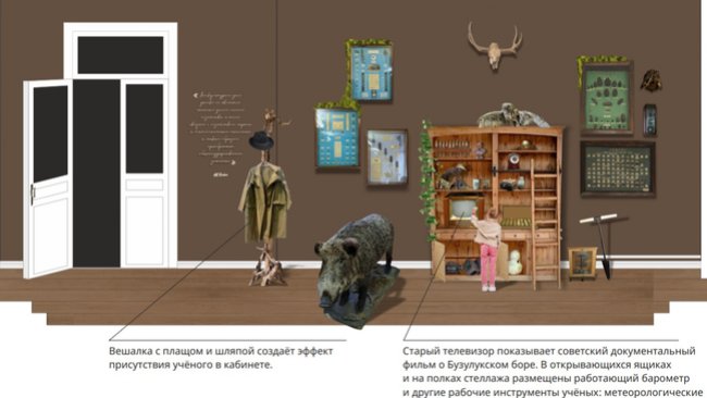 Проект музея Бузулукского бора уже готов 