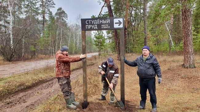 В Бузулукском бору установили указатели к туристическим объектам  