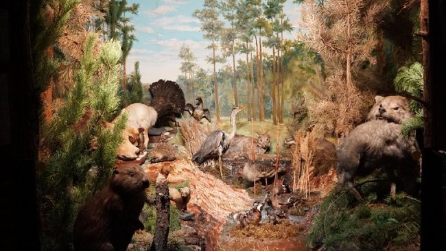 Проект Бузулукского музея победил в областном конкурсе 