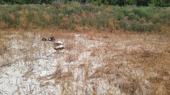 В Оренбуржье едва не разразилась очередная экологическая катастрофа с нефтесодержащими отходами 