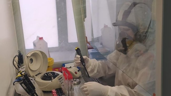 У 100% привитых появились антитела против коронавируса