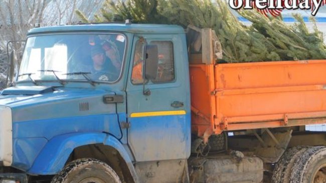 Предприниматели о продаже елок к Новому году: «Чутье подсказывает, что-то будет по-другому» 