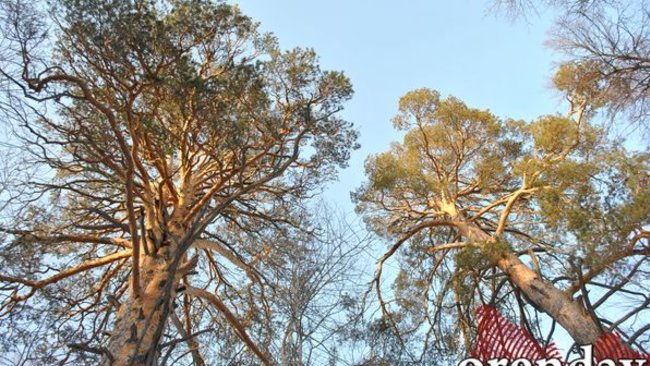 27 нефтяных компаний обсуждали судьбу Могутовского месторождения 