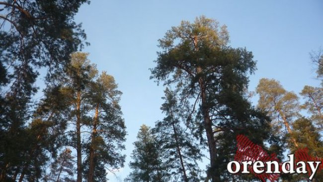 Нефтедобытчики Бузулукского бора не будут возвращать 820 миллионов рублей