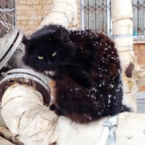 МЧС Оренбуржья предупреждает об аномально холодной погоде в ближайшие пять дней