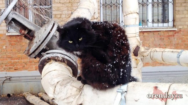 МЧС Оренбуржья предупреждает об аномально холодной погоде в ближайшие пять дней