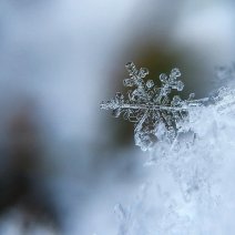 Из-за мороза в бузулукских школах отменяют занятия