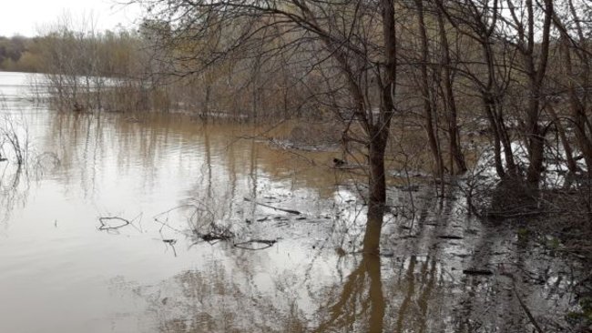 Жителей Бузулукского района не пустят по объездной дороге без пропусков 