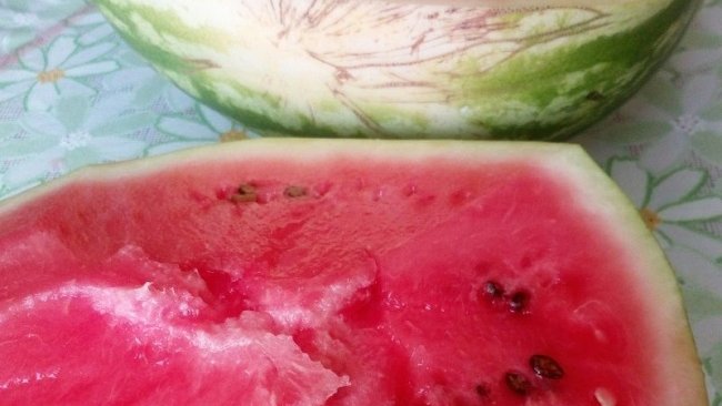 Арбузы под Бузулуком проверили после отравления семьи из Челябинска