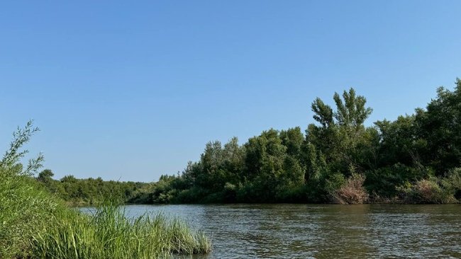 Поиск утонувшей девочки продолжается