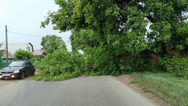 В Бузулуке убирают последствия урагана