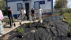 Забота в деталях: озеленение у ФАПа