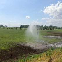 Опыт успешной рекультивации. Кейсы из разных регионов