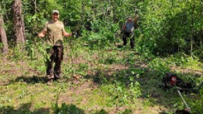 В «Бузулукском бору» продолжается реконструкция дендросада. 