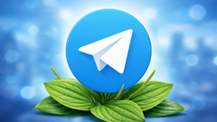 Telegram дал сбой в нескольких странах