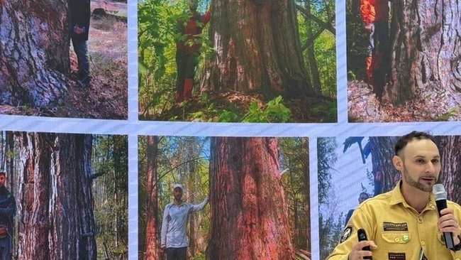 Виртуальная экскурсия по парку 