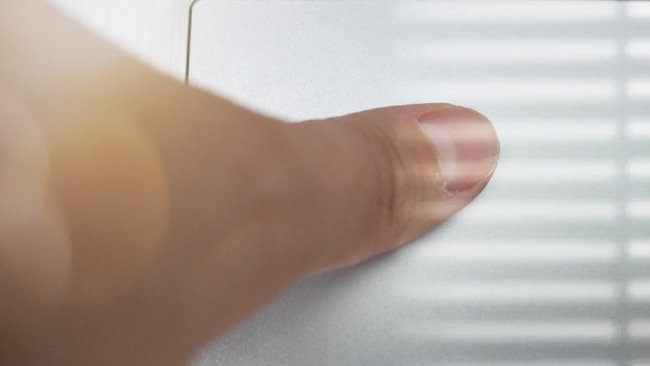 Что известно о входе на Госуслуги по отпечатку пальца? 