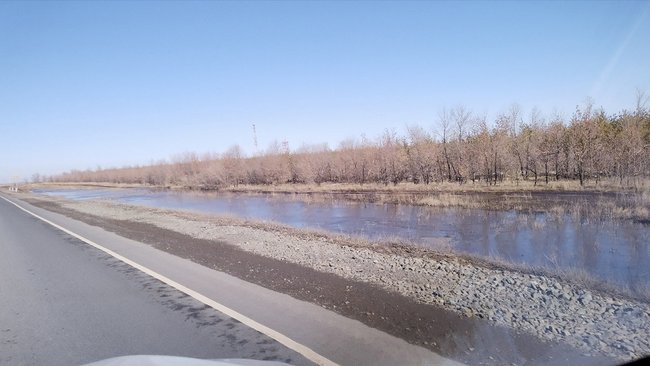 В Оренбуржье возвращаются перелетные птицы и просыпаются сурки