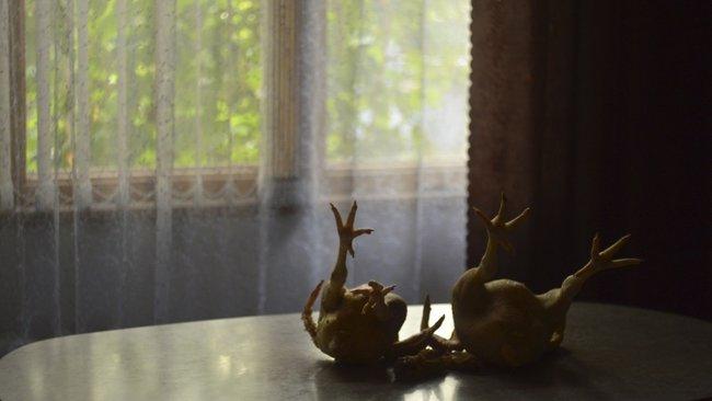 В Оренбуржье в паштете из гусиной печени оказались субпродукты других животных