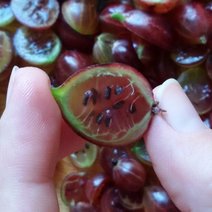 Продукты, обогащенные цинком, помогут выздороветь при коронавирусе