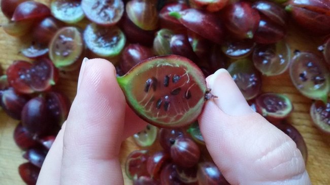 Продукты, обогащенные цинком, помогут выздороветь при коронавирусе