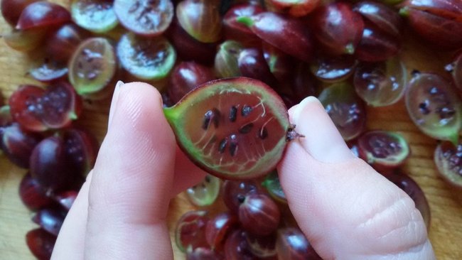 Продукты, обогащенные цинком, помогут выздороветь при коронавирусе