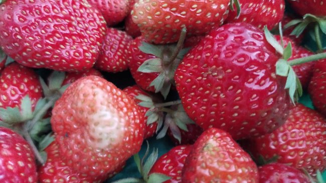 Интернет-магазин Wildberries изменил название на отечественное 