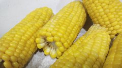 Роспотребнадзор предупреждает: кукуруза с ботулизмом может оказаться в магазинах