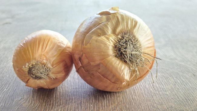 В России рекордно выросли цены на лук