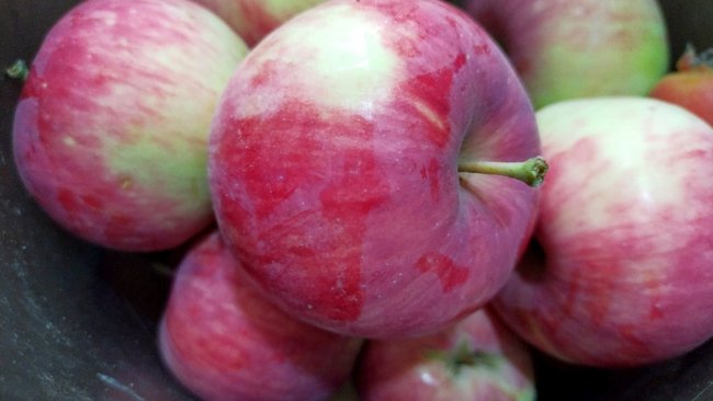 В Роспотребнадзоре рассказали, как правильно есть яблоки