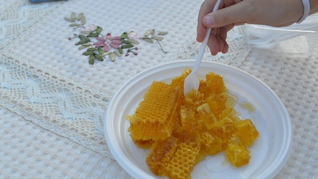 В Оренбуржье партия меда содержала антибиотики