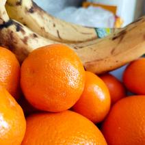 Оренбуржцев к Новому году ждут дорогие мандарины