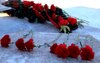 35-летие со дня вывода советских войск из республики Афганистан и Дню памяти о россиянах