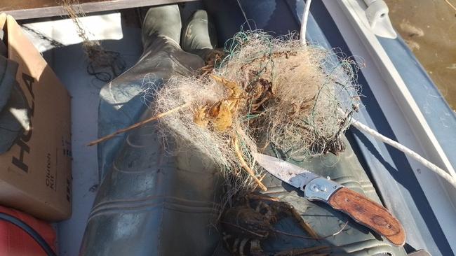 Сети браконьеров на реке Самара