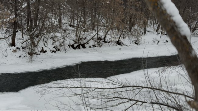 Москву и Подмосковье может ждать опасное половодье