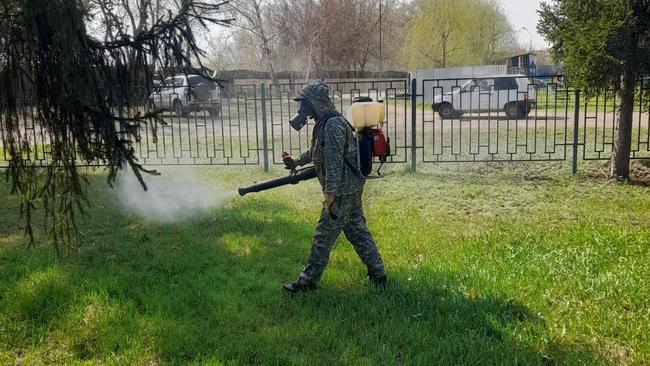 Клещи: защита и действия