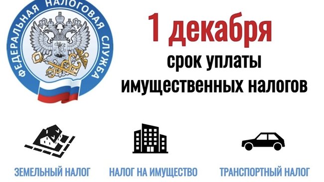 Налоги — время платить