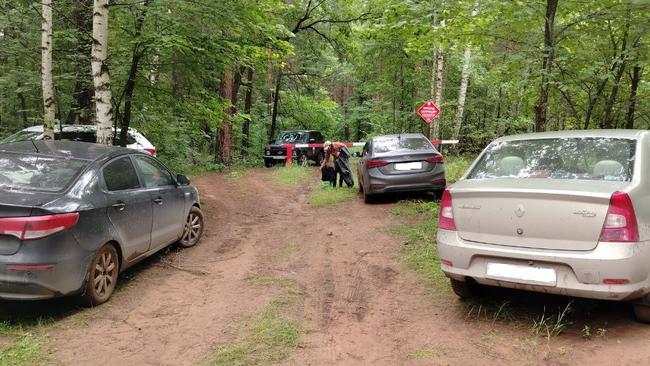 Семь протоколов за неделю: инспекторы Бузулукского бора фиксируют нарушения в лесу 