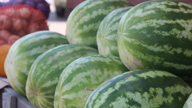 В Бузулуке определены места для торговли бахчевыми