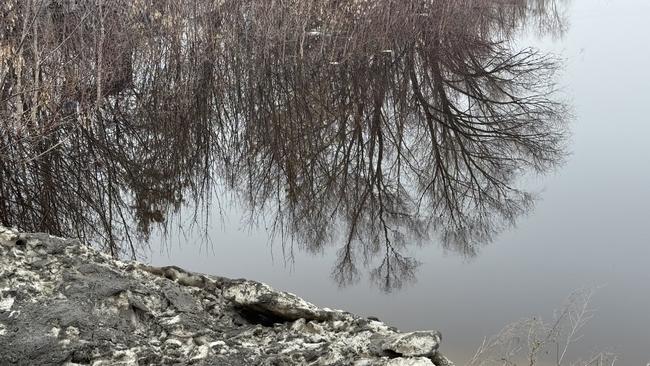 Боровка вернулась в своё русло